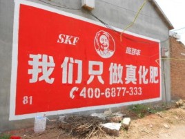 崇阳刷墙广告”蕴含了时代命题