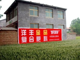 崇阳如何让墙体广告展现最大化效果