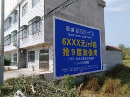 崇阳墙体广告质量分析