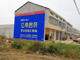 崇阳农村墙体广告在不同形式上面展现的不同特色