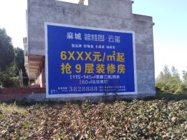 崇阳墙体广告的好处