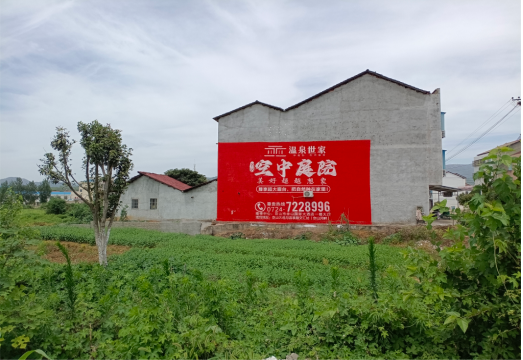 崇阳做墙体广告的意义