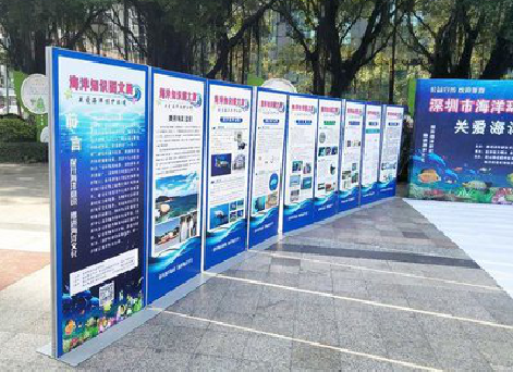 崇阳KT板的种类和知识。